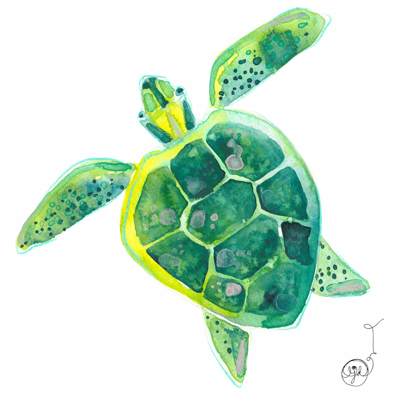 Turtle