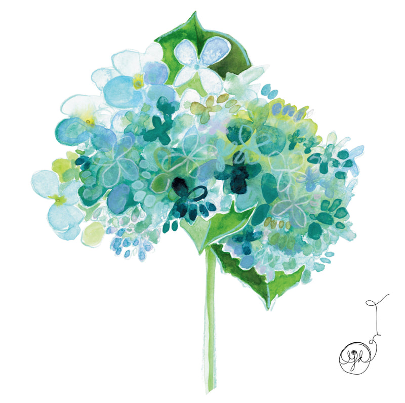 Blue Hydrangeas