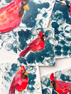 Red Bird Watercolor Studies