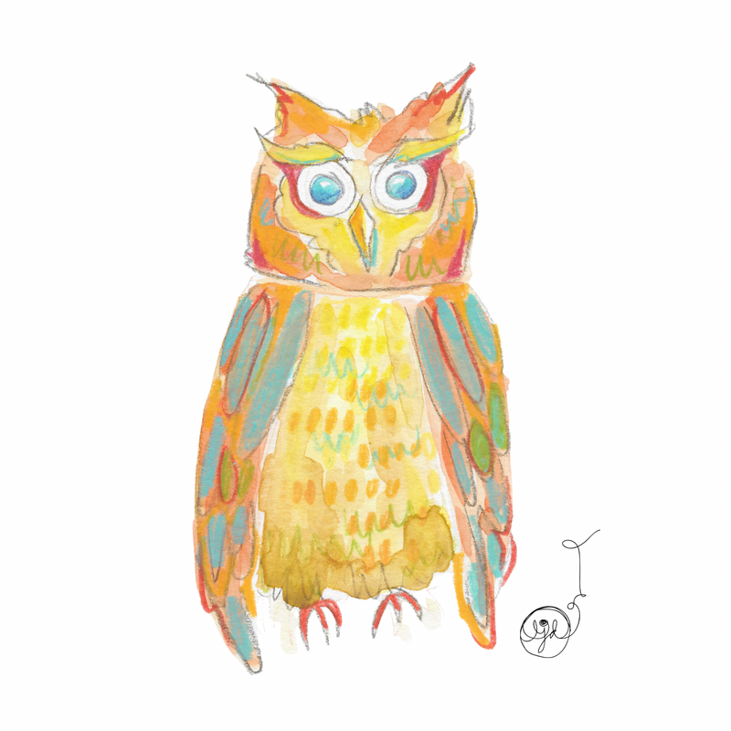 Owl
