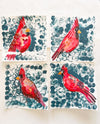 Red Bird Watercolor Studies