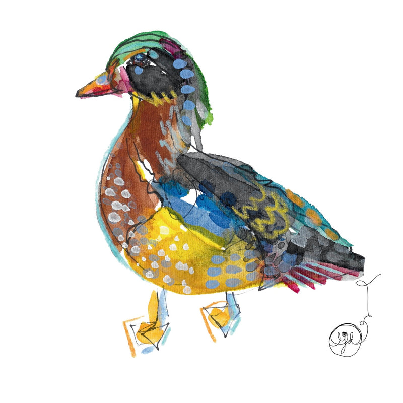 Wood Duck 3