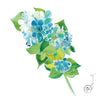 Blue Hydrangeas