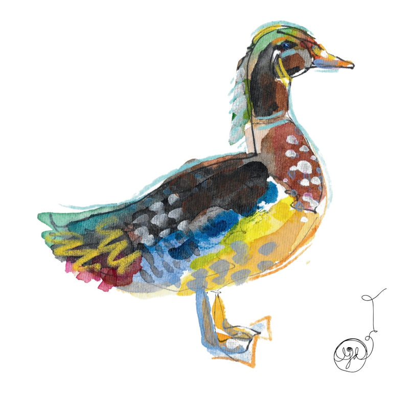 Wood Duck 1