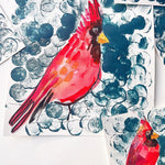 Red Bird Watercolor Studies
