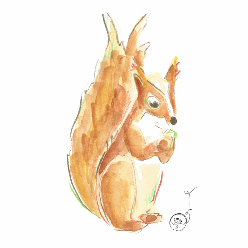 Colorful Squirrel