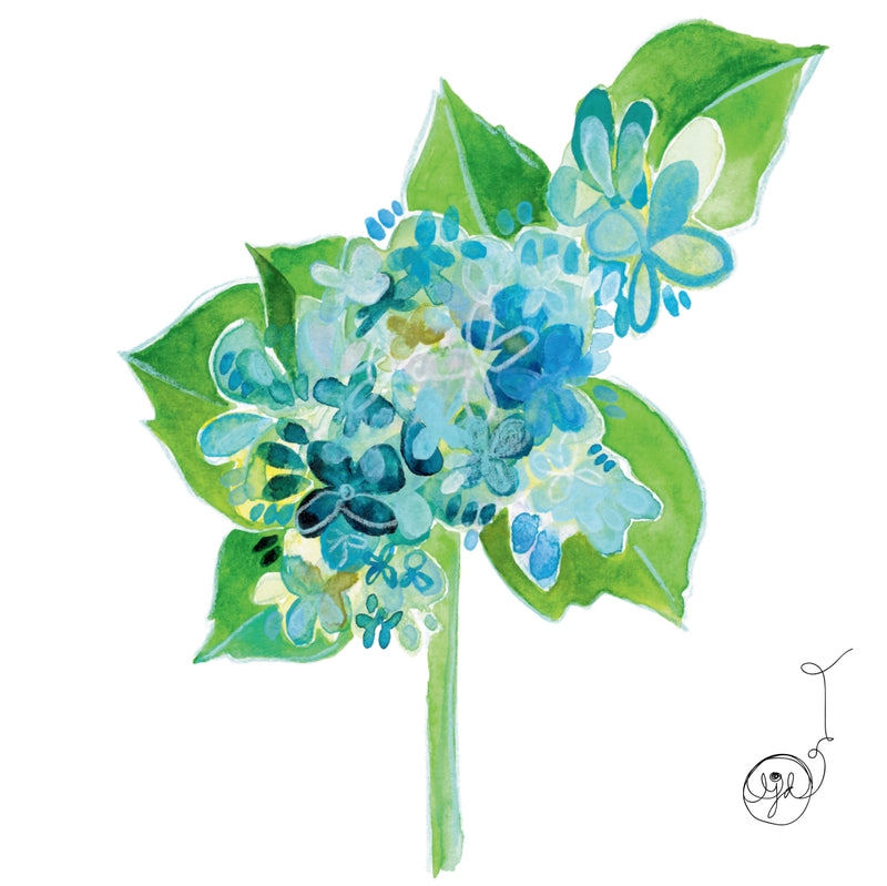 Blue Hydrangeas