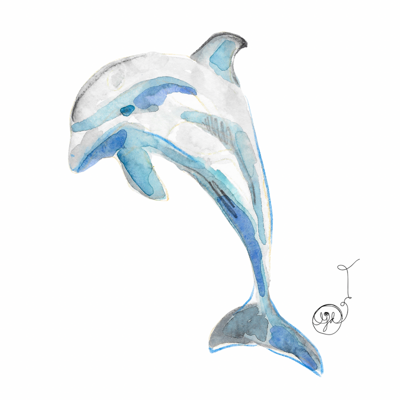 Dolphin