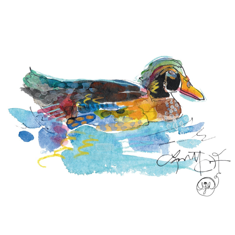 Wood Duck 4