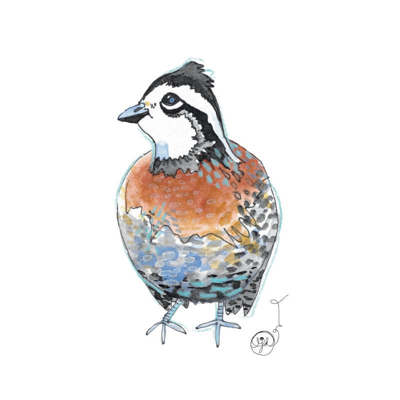 Quail 2