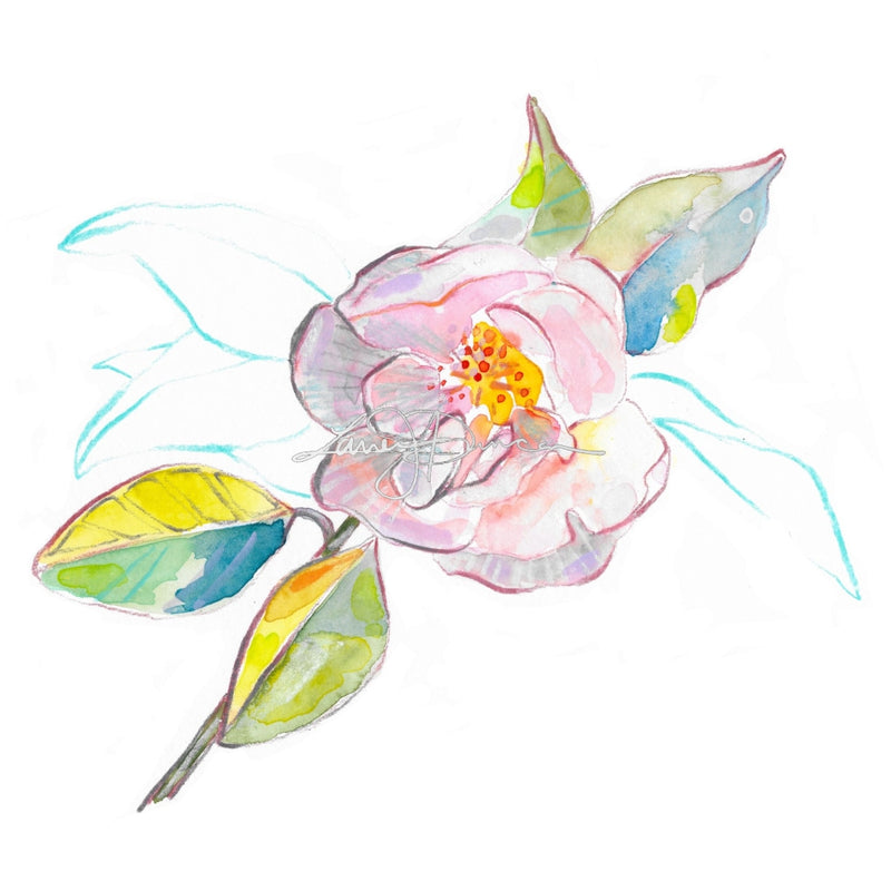 Camellia No. 2