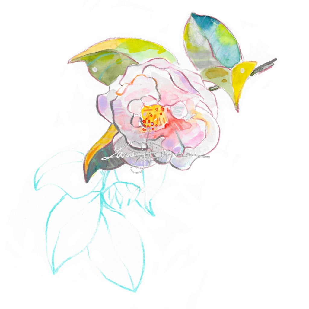 Camellia No. 3