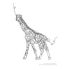 FREE DOWNLOAD Animal Contour Line Drawings