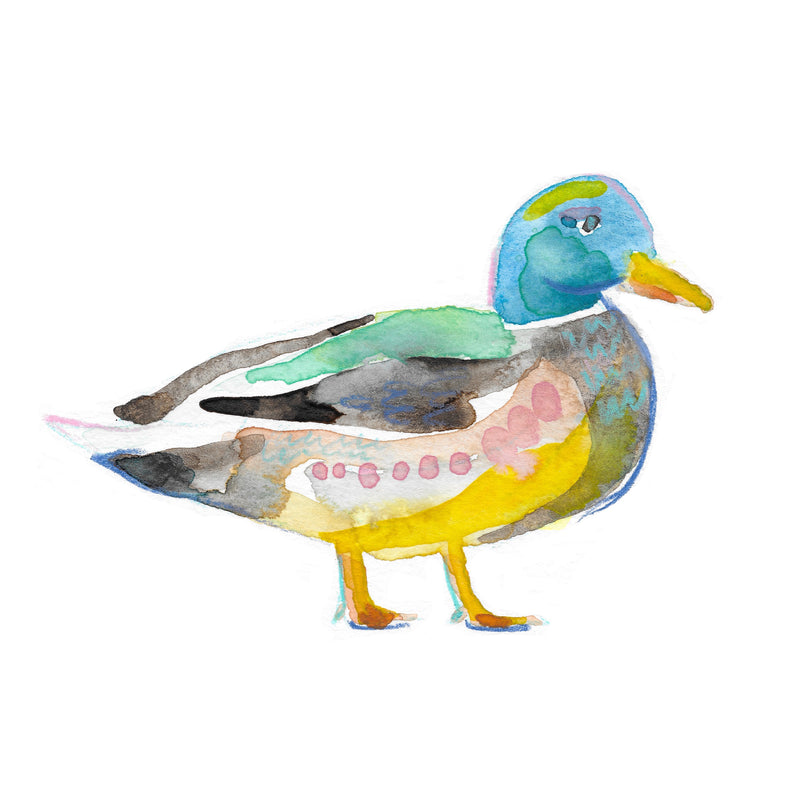 Colorful Creations: Duck