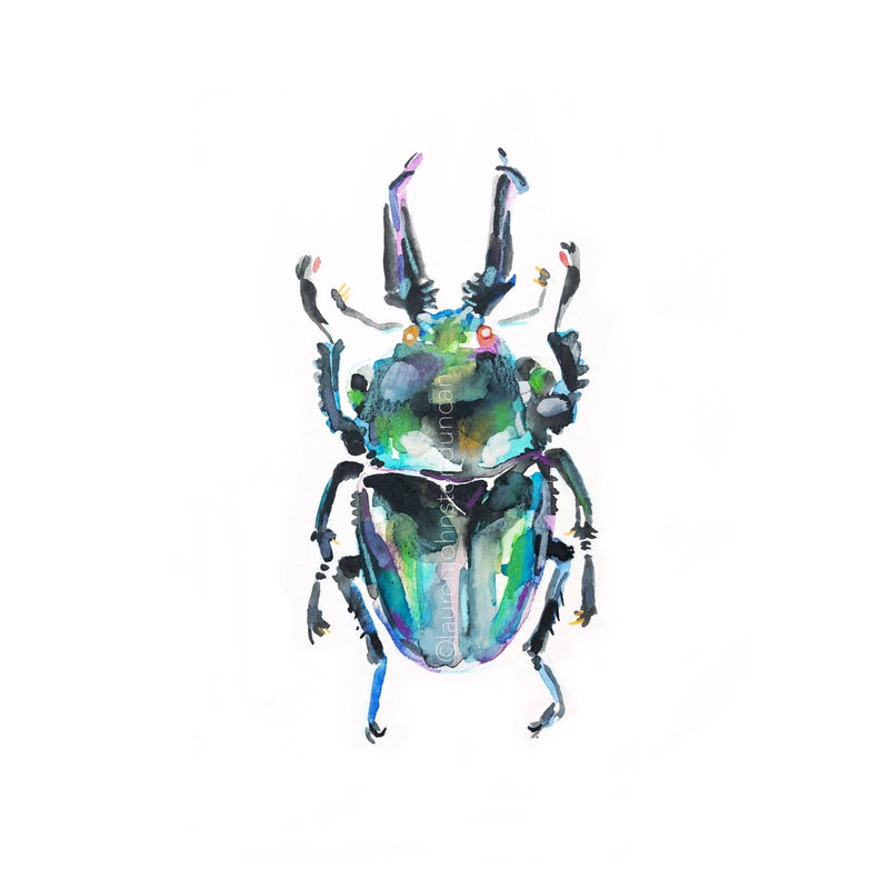 Black Beetle || #lovebug